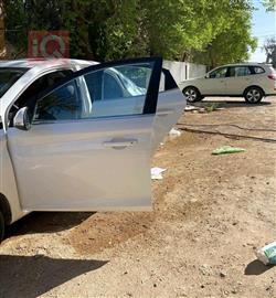 Changan Alsvin